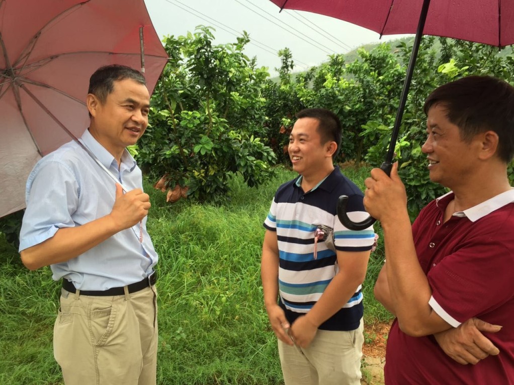 农业厅领导视察2.JPG
